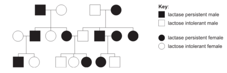 IB Past Papers Biology SL